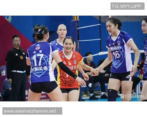 运动最新数据杭州排球队排球意识创新高引领全国水平提升新篇章